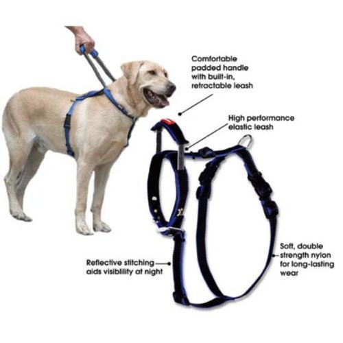 xl dog harness with handle