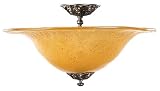 Ceiling Fixtures Framburg FR 1114