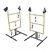 Wild Sales Dallas Cowboys Tailgate Golf Toss Game