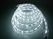 12V Rope Lights; 10Ft Pure White LED Rope Light Kit; Christmas Lighting; outdoor rope lighting