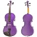 Cecilio Ebony Fitted Full Size Purple Violin Outfit