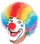 Multi-Color Clown Wig