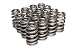 Competition Cams 26918-16 BeehiveValve Spring