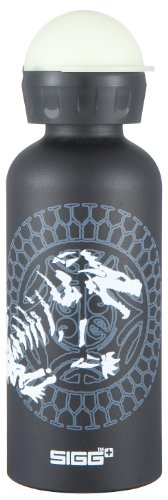 Best Price 0.4L Boy's Bottles