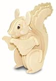 Wooden Model Construction Kit : Wooden Squirrel [Toy]