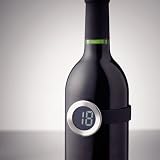 Clip on wine bottle thermometer - stainless steel & plastic