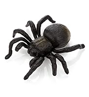 Pull Back Spider Toy