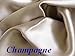 Feeling Pampered Champagne 100% Mulberry Silk 19 momme Pillowcase Queen/standard for Hair and Facial Beauty