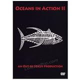 Oceans In Action II