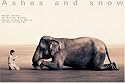 Boy reading to elephant: Mexico City exhibition (standard poster) (Ashes and Snow Posters)