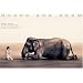 Boy reading to elephant: Mexico City exhibition (standard poster) (Ashes and Snow Posters)