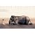 Ashes and Snow Mexico Boy Reading to Elephant Poster
