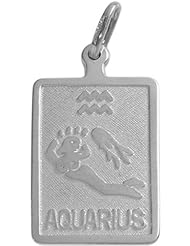 10 Karat White Gold Aquarius Zodiac Pendant with Chain