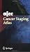 AJCC Cancer Staging Atlas: AJCC Cancer Staging Illustrations in PowerPoint® From the AJCC Cancer Staging Atlas (Greene, AJCC Cancer Staging Atlas)