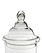 CYS EXCEL Glass Apothecary Jar. H-18.5