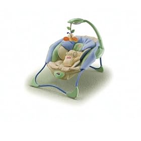 Fisher-Price Baby Papasan Infant Seat