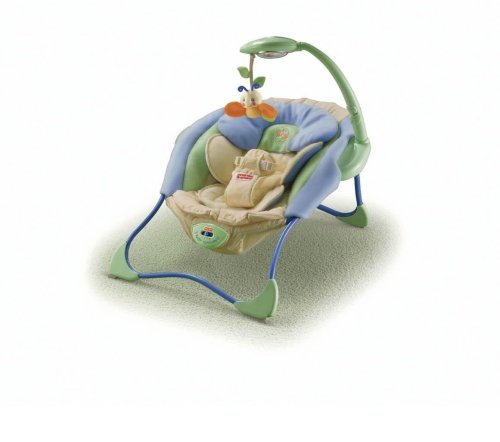 Fisher-Price Baby Papasan Infant Seat Nature's Wonder