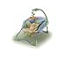 Fisher-Price Baby Papasan Infant Seat Nature's Wonder