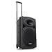 Ibiza Port15 Mobile PA-Anlage 450W transportabel (USB-SD-MP3, Mischpult, Trolley-Bauweise, Akku) inkl. 2 Funkmikros