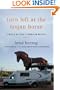 Turn Left At The Trojan Horse: A Would-Be Hero's American Odyssey