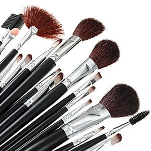 18 Cosmetic Make Up Brush Set with Case Eyeshadow/Blush