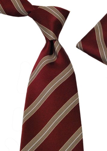 100% Woven Mens Neck Tie + Pocket Square Hand Made Tie and Hanky Set 2502-25 Red Beige