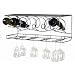Oenophilia Wine Bar Rack