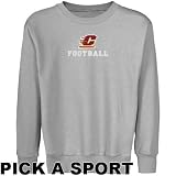 Central Michigan Chippewas Youth Ash Custom Sport Logo Applique Crew Neck Fleece Sweatshirt (Small)