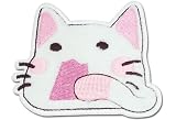 Lucky Star: Yawning Cat Anime Patch