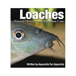 LOACHES: NATURAL HISTORY & AQUARIUM CARE