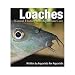 LOACHES: NATURAL HISTORY & AQUARIUM CARE