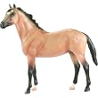 Thoroughbred Cross - Buckskin&nbsp;