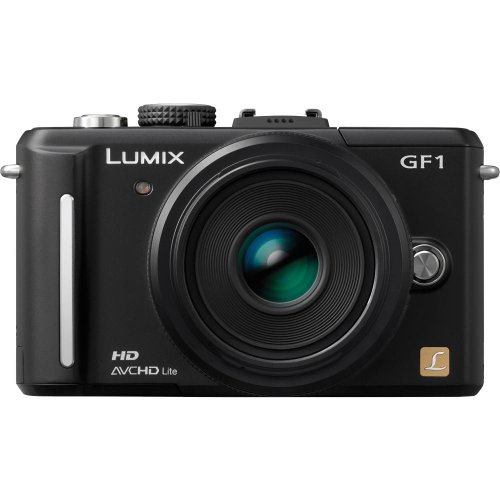 Panasonic Lumix DMC-GF1 (with 20mm Lens) is one of the Best Panasonic Digital Cameras for Photos of Children or Pets