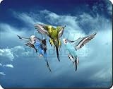 Budgies in Flight Computer Mouse Mat