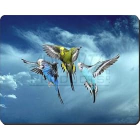 Budgies in Flight Computer Mouse Mat/Pad Gift, Ref:AB-96M