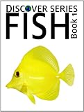 Fish: Discover Series Picture Book for Children (Kindle Kids Library)