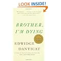 Brother, I'm Dying (Vintage Contemporaries)