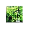 PROFLORA T3 (CO2 Schlauch)