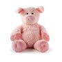 Aroma Home Hot Hugs Pig