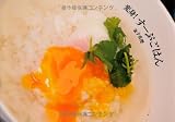 変身!すーぷごはん