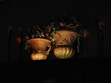 PPA OLSHARGB Home Accent Multicolor LED Lighting Kit