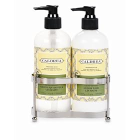 Caldrea 2-Piece Petite Sink Set, Green Tea Patchouli- Stainless