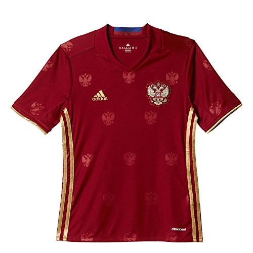 adidas Jungen T-shirt RFU H Jersey Y, Collegiate Burgundy/Dark Football Gold, 140, 4056559040796