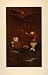 1884 Japan Cormorant Fishing Night Chromolithograph - Original Chromolithograph