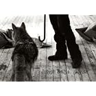 Joseph Beuys: Coyote by Caroline Tisdall