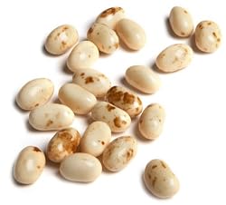 Jelly Belly Toasted Marshmallow Jelly Beans, 10-Pound Box