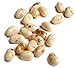 Jelly Belly Toasted Marshmallow Jelly Beans, 10-Pound Box