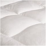 Pike Street Overfilled Ultra Soft Microplush Queen Mattress Pad