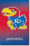 University of Kansas Jayhawks Logo (KU) 22"x34" Art Print Poster