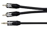Peerless 2m 3.5mm Plug to 2xRCA Plugs